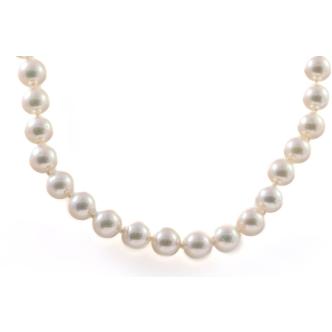7.5-7.7mm Akoya Pearl Necklace