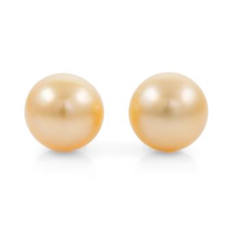 Golden South Sea Pearl Stud Earrings